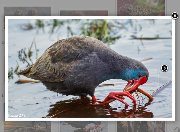 jQuery fancybox-plus